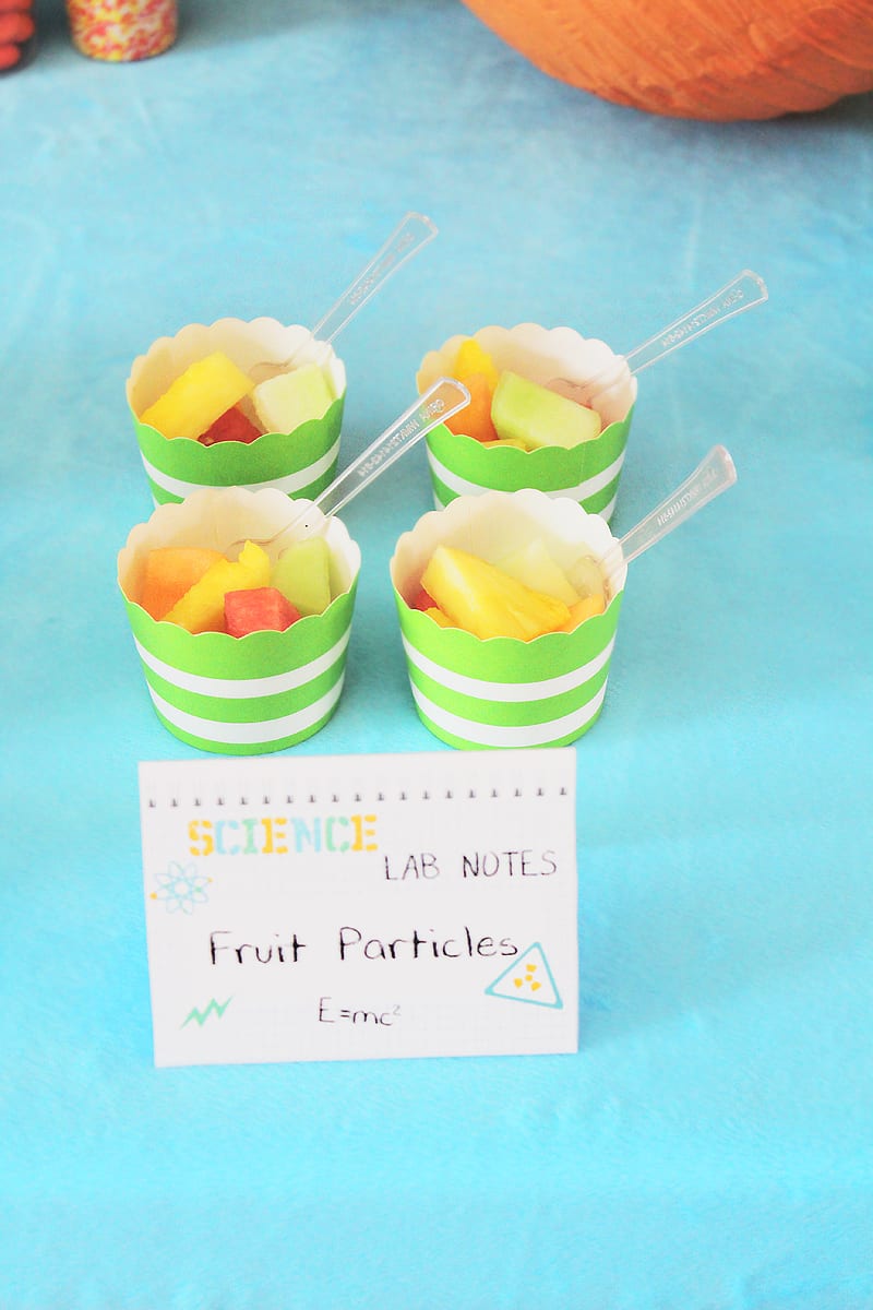 Science Party Ideas for PBS Parents