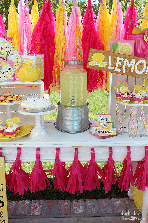 Lemonade Party Ideas