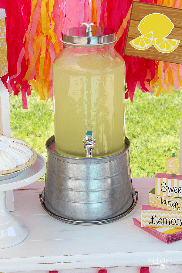 Lemonade Party Ideas