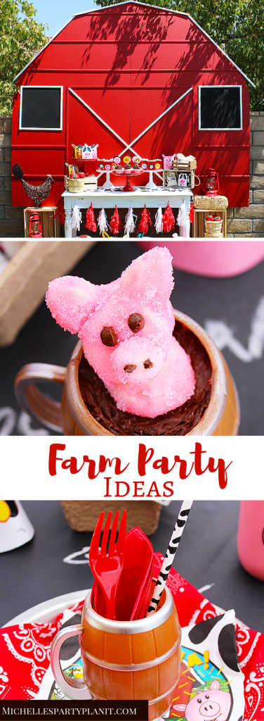 Farm Party Ideas