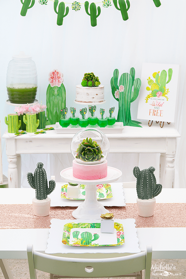 10 DIY Cactus Decor Theme Party Decoration Ideas